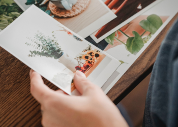 Banco de Dados de Imagens Gratuitas: Encontre as Melhores Opções