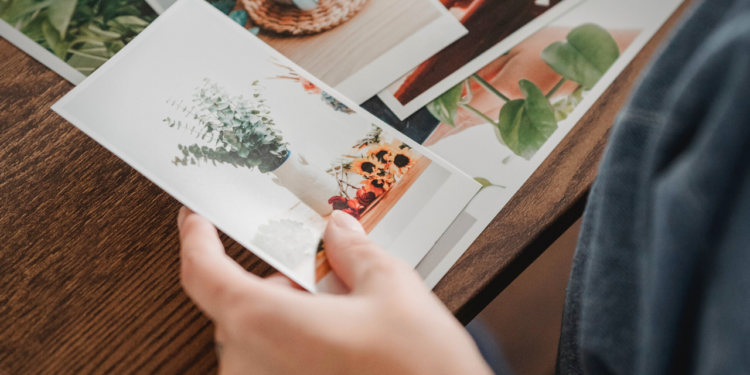 Banco de Dados de Imagens Gratuitas: Encontre as Melhores Opções